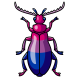 Bi Pride Collectable Scarab