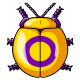 Intersex Pride Collectable Scarab