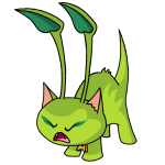 Green Aisha