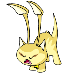 Yellow Aisha