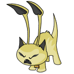 Yellow Aisha