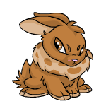 Brown Cybunny