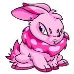 Pink Cybunny