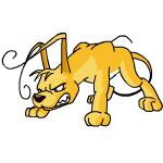 Yellow Gelert