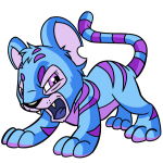 Blue Kougra