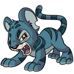 Blue Kougra