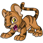 Brown Kougra