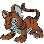 Brown Kougra