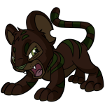 Brown Kougra