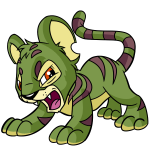 Green Kougra