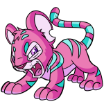 Pink Kougra