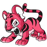 Pink Kougra