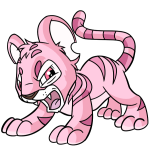 Pink Kougra