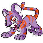 Purple Kougra