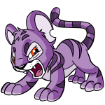 Purple Kougra