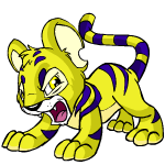 Yellow Kougra