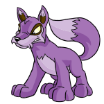 Purple Lupe