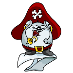 Pirate Meerca