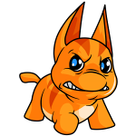 Orange Poogle