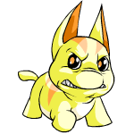 Yellow Poogle