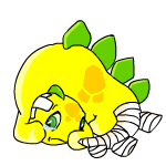 Yellow Chomby