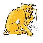 Yellow Gelert