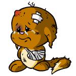 Brown Kacheek