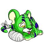 Green Kougra