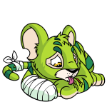 Green Kougra