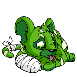 Green Kougra