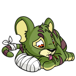 Green Kougra