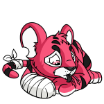 Pink Kougra