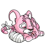 Pink Kougra