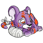 Purple Kougra