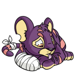 Purple Kougra