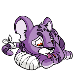 Purple Kougra