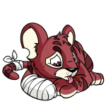 Red Kougra