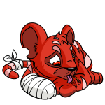 Red Kougra