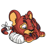 Red Kougra