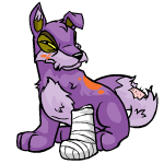 Purple Lupe