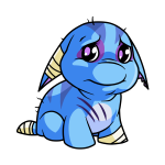 Blue Poogle