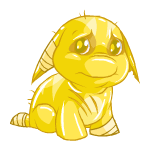 Gold Poogle