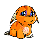 Orange Poogle