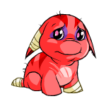 Red Poogle