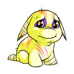 Yellow Poogle