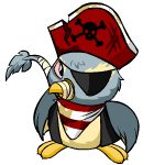 Pirate Pteri