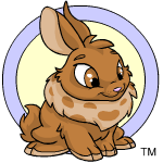 Brown Cybunny