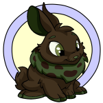 Brown Cybunny