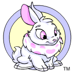 White Cybunny