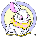 Yellow Cybunny